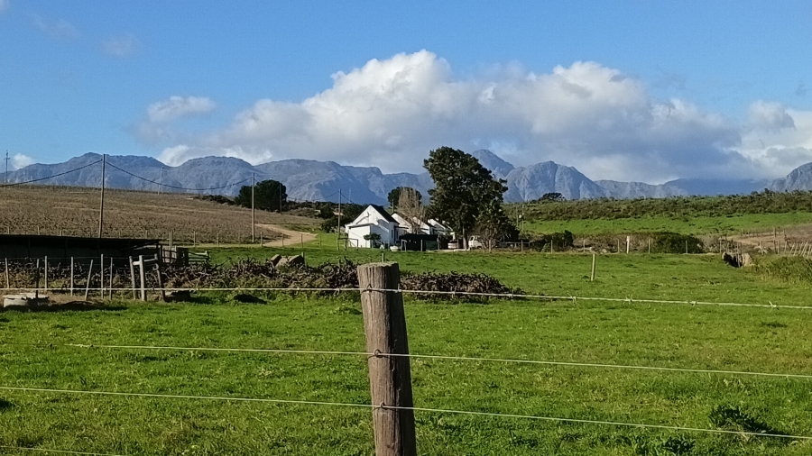 5 Bedroom Property for Sale in Stellenbosch Farms Western Cape
